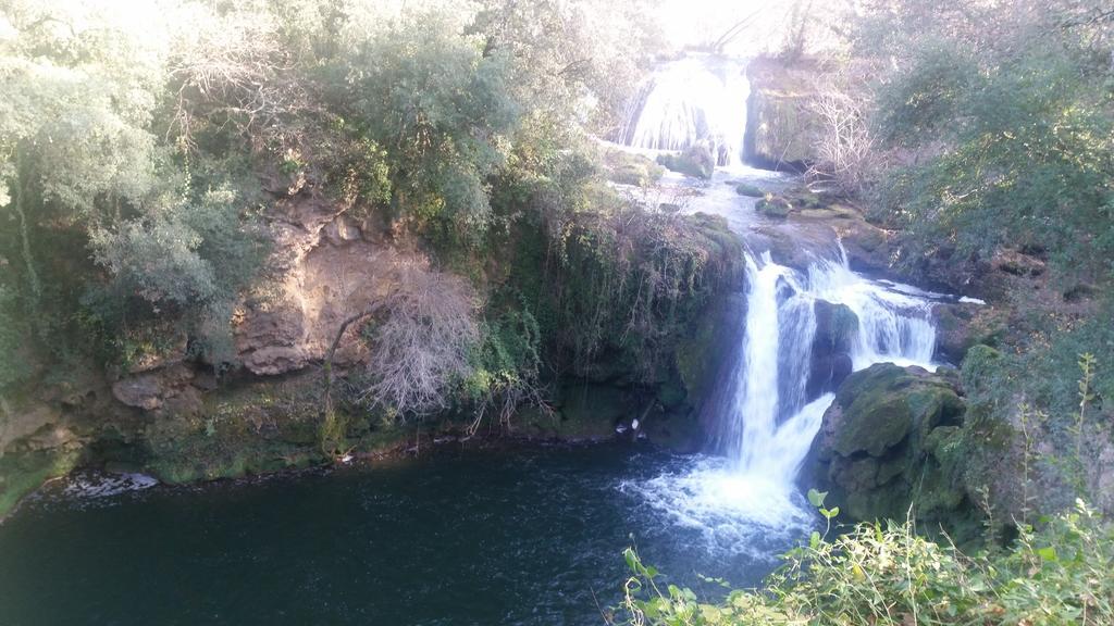 Un Petit Coin De Paradis Taradeau Номер фото